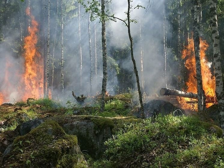 ����� ������ ����������� ���� ��� ��� �������������� �������