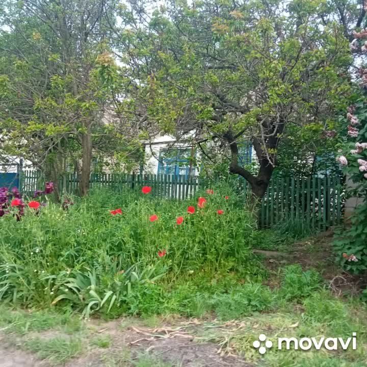 10 ���� � ��� "������������� ���" ������ ������� �� ������ ����