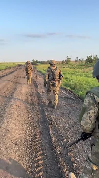 ���� �������: �����, ������ ����������� ��������� �� ���������� �����������