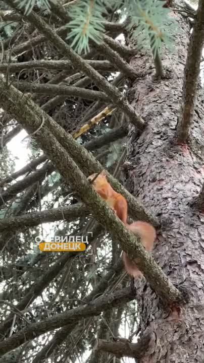 �������� ��������� � ����� ��.���������
