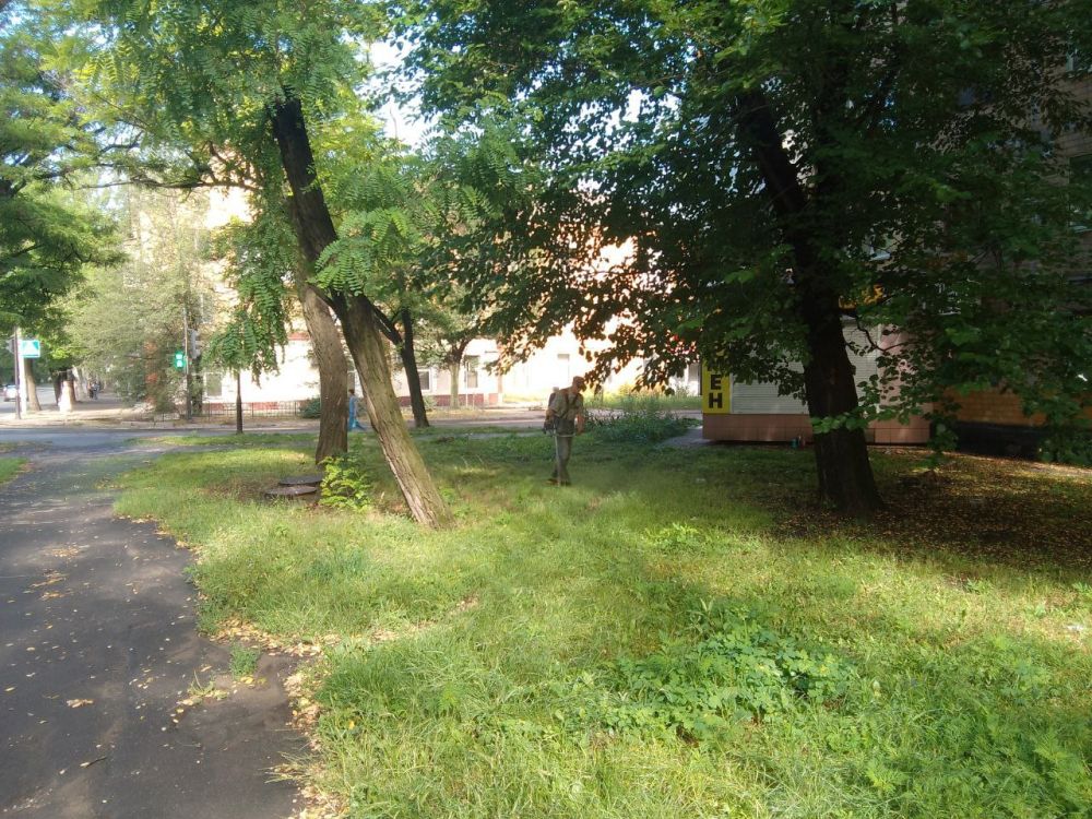 ������� ������: ������������ �������������� ���������� ����������� ������������� �. ������� "����������� �������� ������������ ������ �. �������" ������������ ����� ����� �� ���������� ���������� ���������������� ������ �����