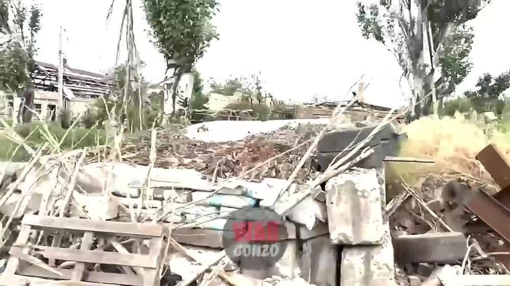 WarGonzo: �������� ��������� �������� �������� ����� �� ����