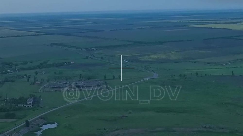 ���� �������: ����-�������� �����������: ������ ���� "����" �� ���������� �������� � ����������