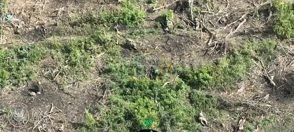 ���������� 4 ������� ������� ����� �� ����������� ������ ��� �� ����������� �����������