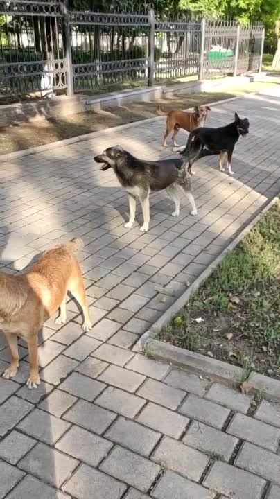 ������ ����� ����� � ��������� ������