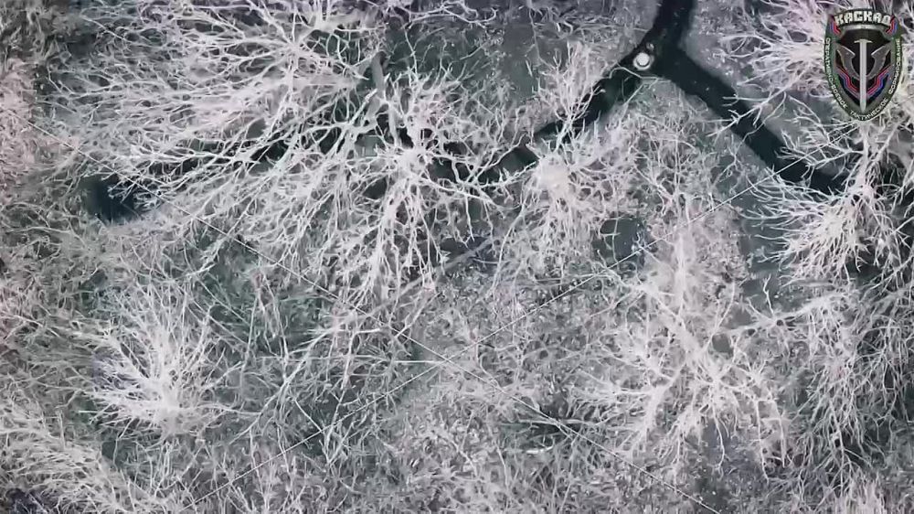 ����� ���������: ����������� ���� ��� ������