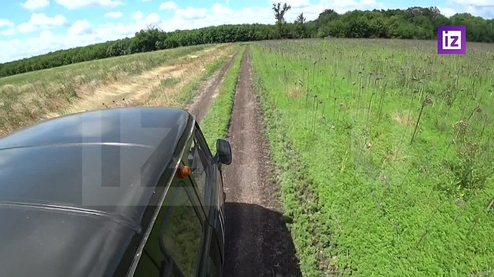 ����� ����� �� ������������� ������ �������� �� ����������� �����������