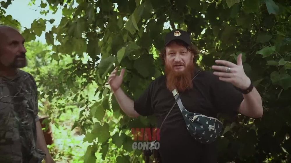 WarGonzo: ������������� � ������� ����������� ������������ �����