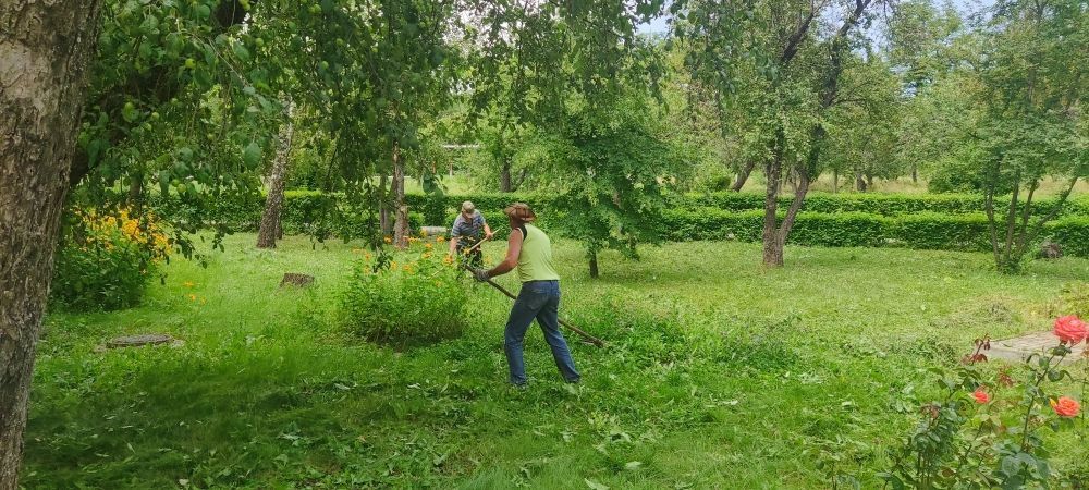 ������� ������: � ������ ���������� ����� ������� ������� ������ �����������, ����������, ����������� ������������ ������ �. ������� ������������ ������ � ��������� ������� � ������