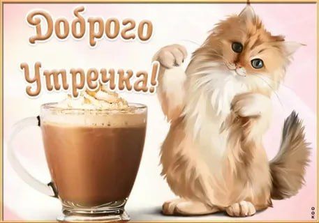 ������ ����!. �������� �� ���� ����! ����������� ���� �������������