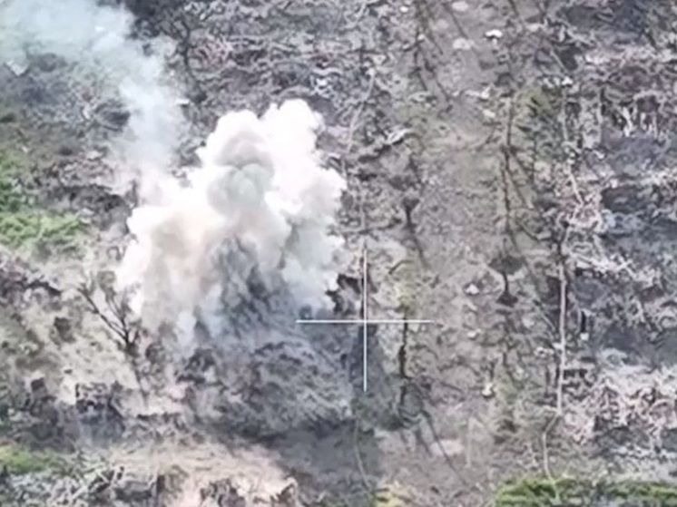 ������� ������� ����� ���� �� ��������