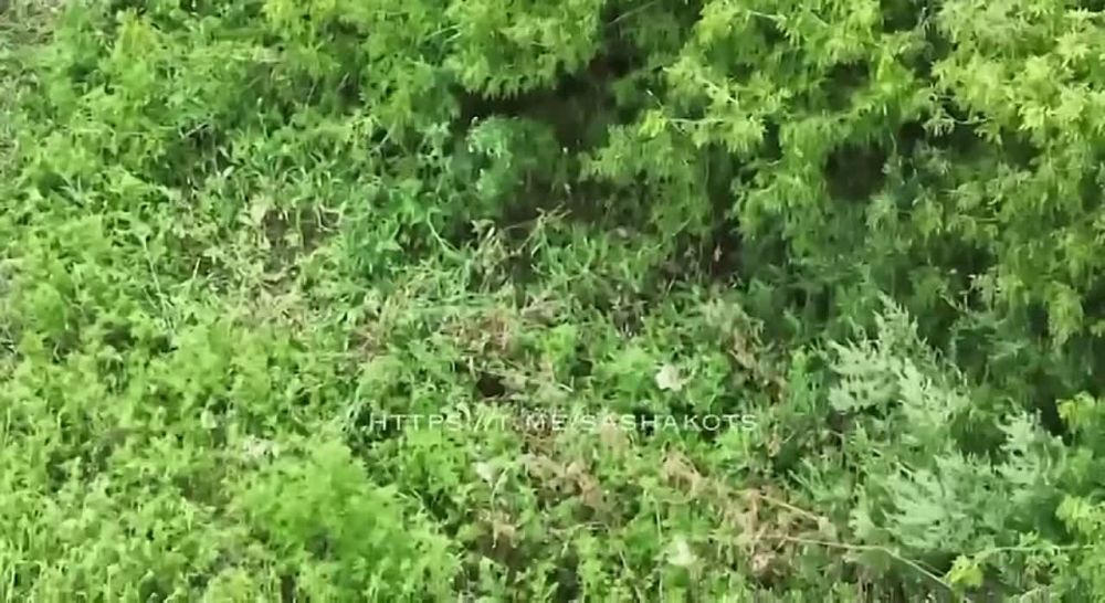 ��������� �������: ��� ��� ��� "�����������" ��������� �� "���������� ���������" - ������ �����������...