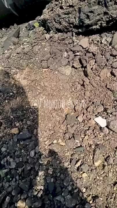 ���� �������: ����������� ���, ��������� � ������ ��������� (����������� �����������)