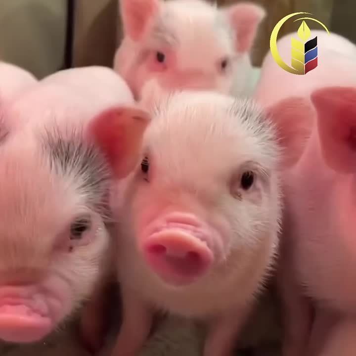 ��� ��� ������ ������.. �������� ���������� � �������� ��������!