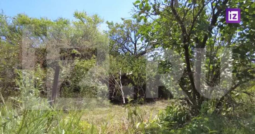 �� ����� ������ �� �������: ��� ����� �������� ����� ��� ��� ���������