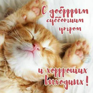 ������ ����!. ����� ���� ����� �����! ����������� ���� �������������