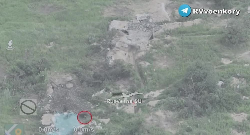 ����� FPV � ���������: �������� ������� ���� �� ������ ����� �� ������ ���������