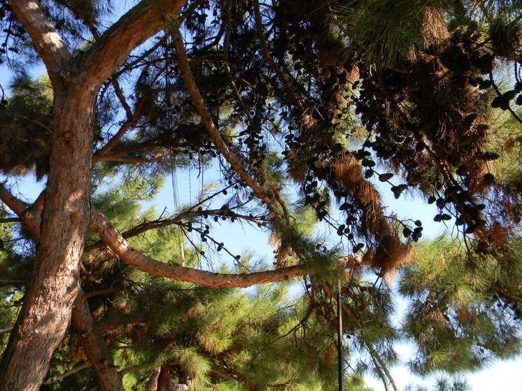 ����� 40 �������� ����� �������� �� ���������� ��� � ������ ����