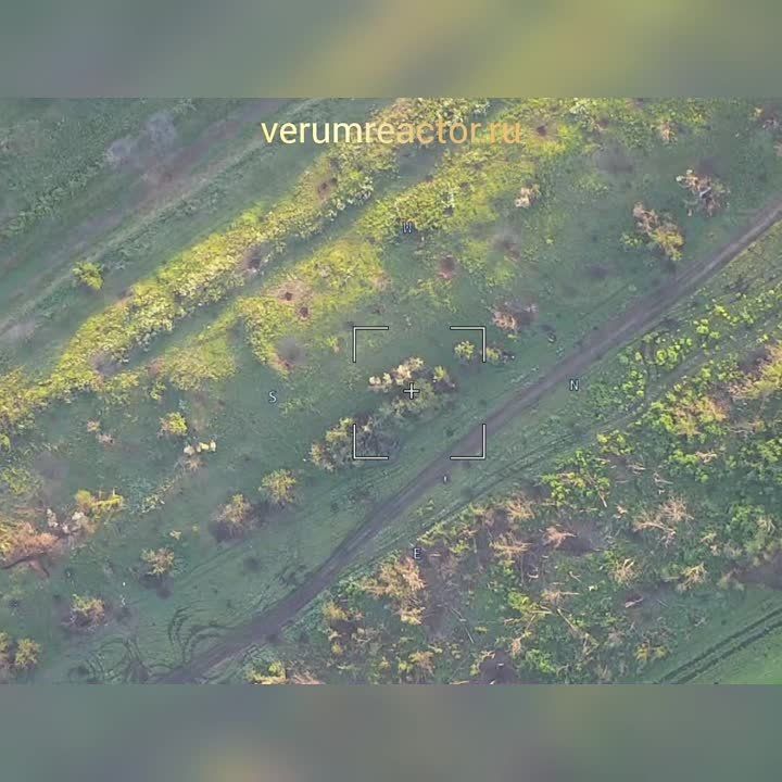 #���������. ���������� 72 ����� ��� ���������� ����������� ����� ���� ���������� �� ����������� �����������. ������� ���� �� ���������� ����� - �������