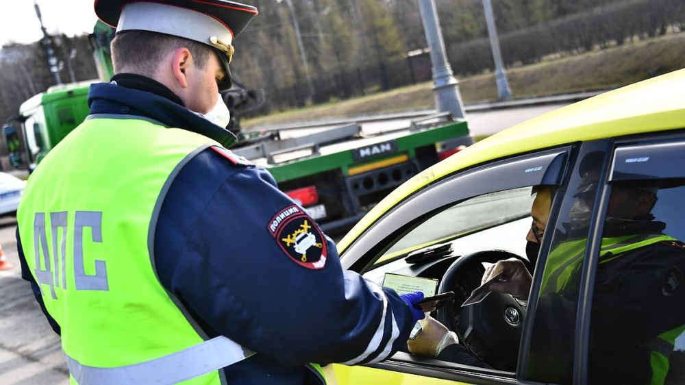 Ирина Волк: альтернативный сухопутный маршрут в Крым займёт у водителей 5-6 часов