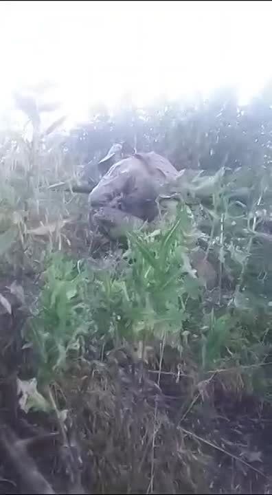 ������� �����,���� ������ ������� (���-9) �������� ���,�������� ����� ������� ���������� ����� ������ ����