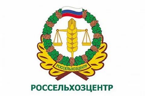 ������ ������ ���� ��������� ��������������� - �������� �������� �������������