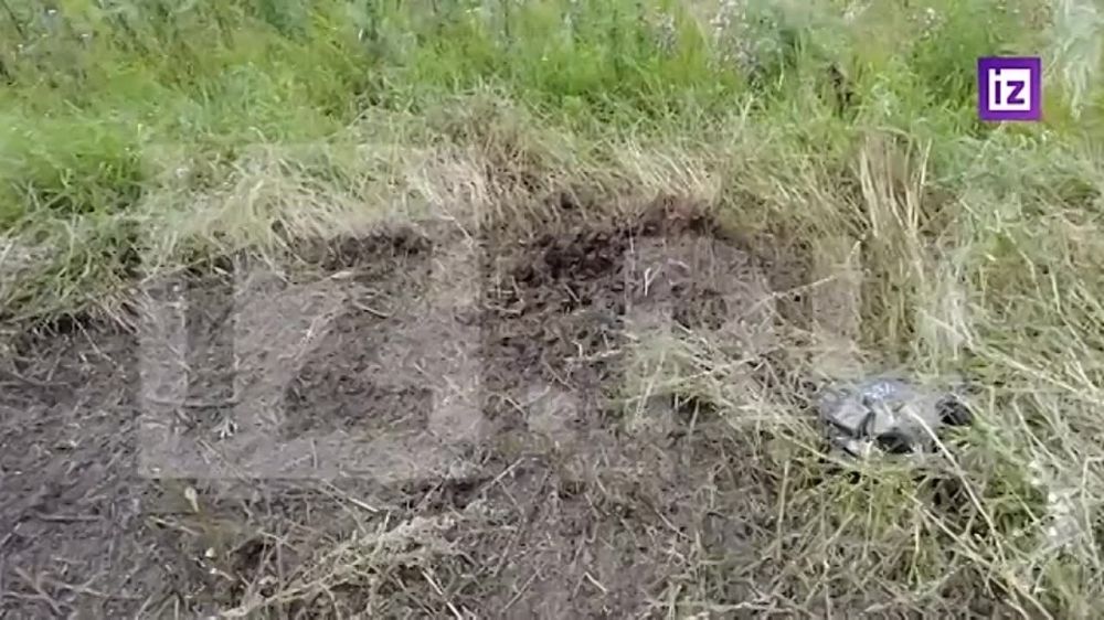 ����� ������� "�������" � ������ �������� �������� ����� ������-���������, �� ���� �� ����, ������ �� ����������� ���������������� �����, ��������� ������, �������� ������������� "��������" ������� ���������