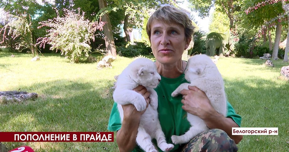 �������� ����-���: �������� �� ����� �������� �� ���� ��������� � �����