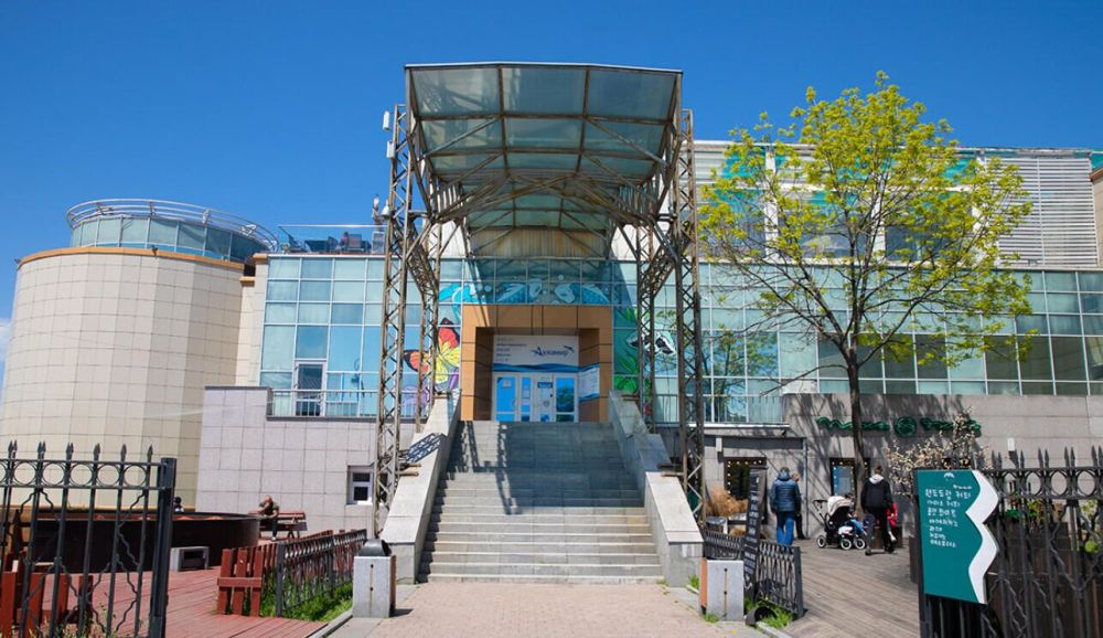 ��� ��� ������ �������� ���������� � ������ ��� ����� "������������ �����"