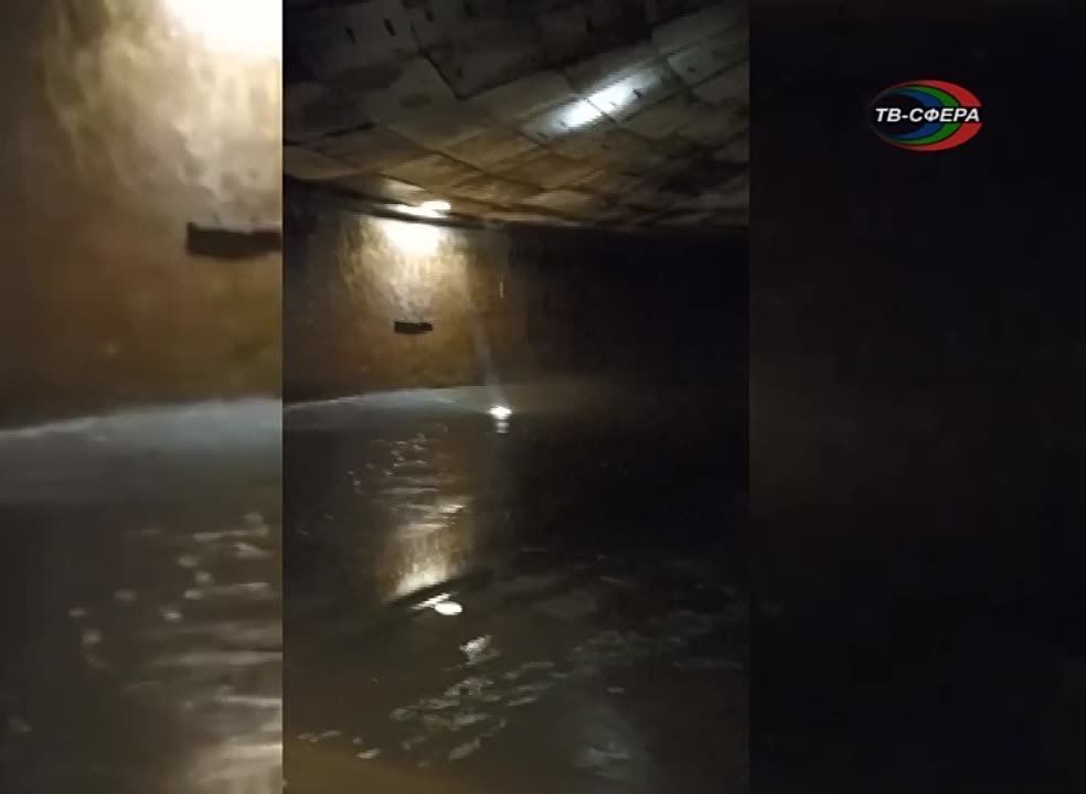 ������������ ��������� �����������