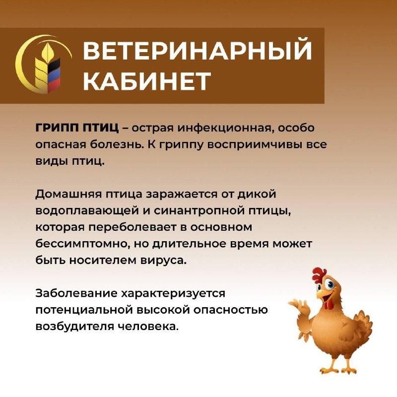 � ����� ����������� ������������� � ��������������� �������� ������ � ���������� ���������� ��������������� ����������� - �������� � ��������� �� ������������ ���������������� �������� � �������������� ���