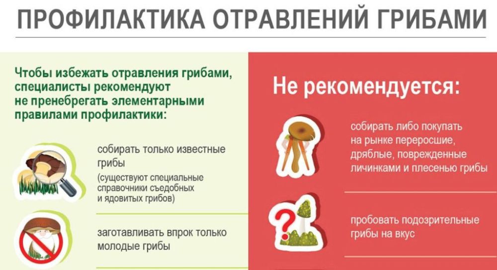 � ������������ ���������� ������������� �������