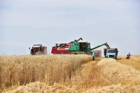 � ����� �������� ������ ������ ������ �������� ������������ ��������� �������, ������������� � �� "�������������"