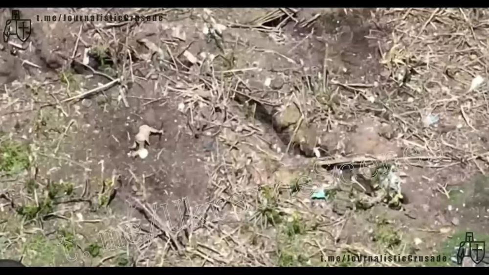 ���� ��������: ���������� ����������� - ��� ��� ����� ��� ������� �������