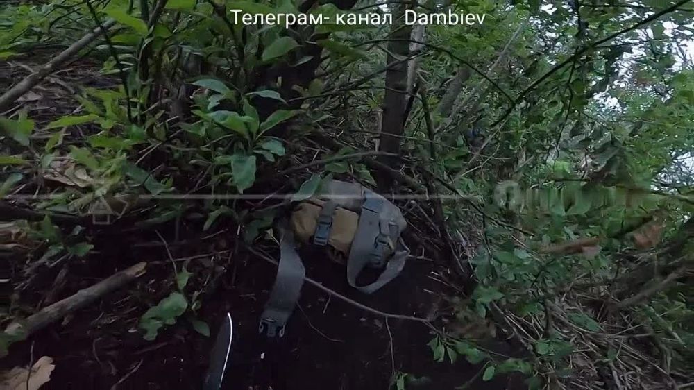 ������ �������: �������� �������� ��� ��������� ������� ���������� �� ����������� �����������