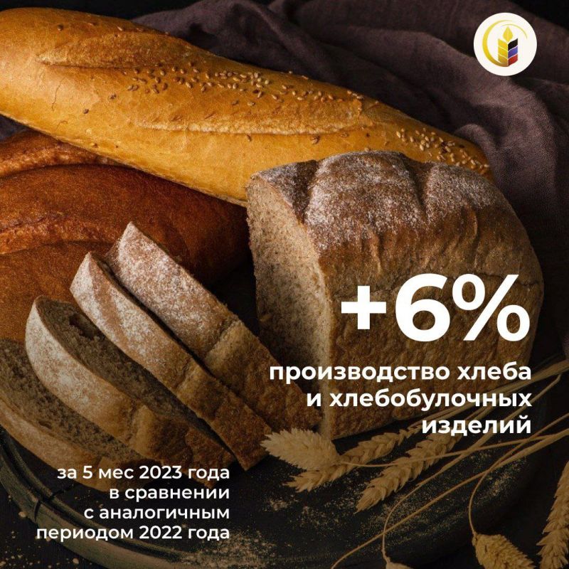 #���_�_������ . . �� ������ 5 ������� 2023 ���� ������������ ����� � ������������� ������� ������������� �������� � ���...