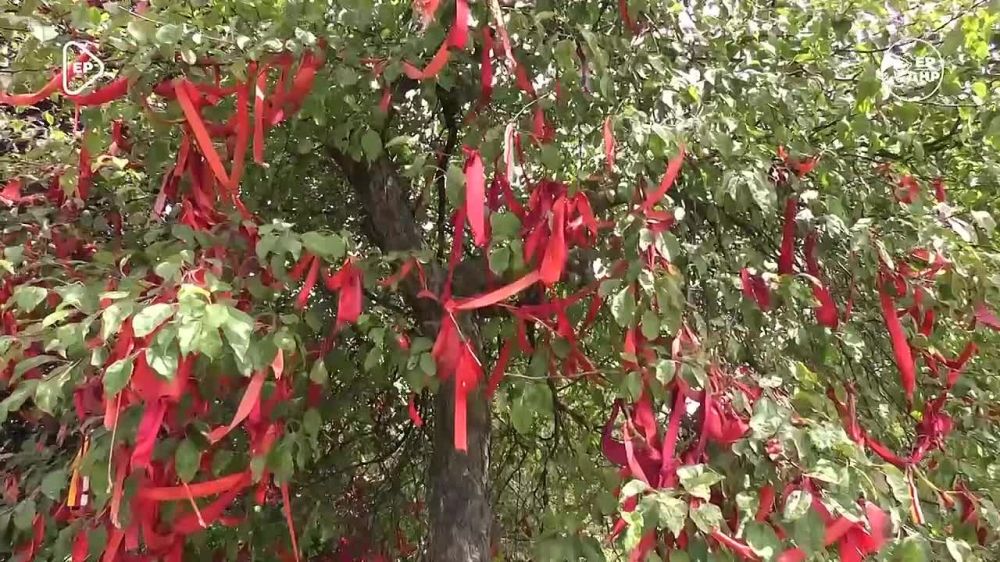 ����������� ������ ���� �������� � ����� �������