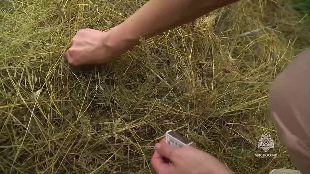 ���� ������� ����� ������� ������