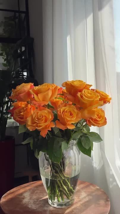 �������� ������: ������ ���� �������� ������ ��������� ������� � ��� ��� ���������...