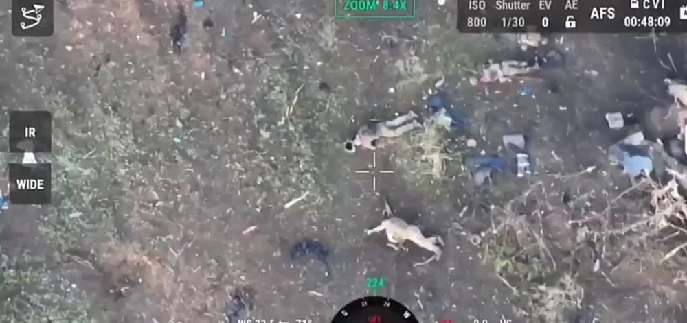 ��������� �������: ��������� "��������� ����" ��� ��� ���������� �� ����������� �����������