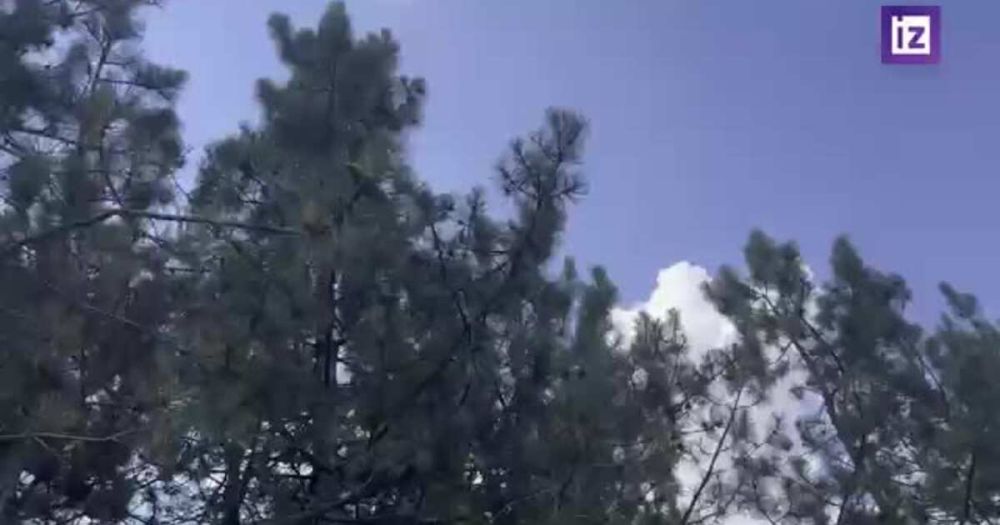 Расчеты "Градов" срывают попытки ВСУ пойти в атаку под Запорожьем