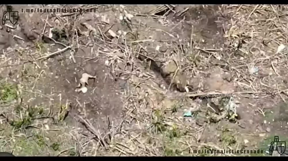 ����� ��������� ������� ����� ��� ��� ��������