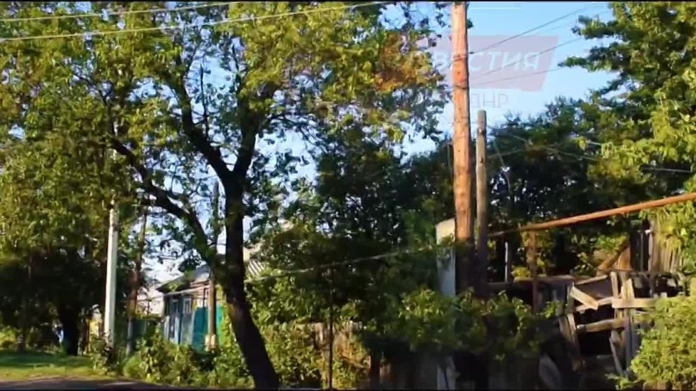 �� �����, ��� � ����. ���� �������� �����:
