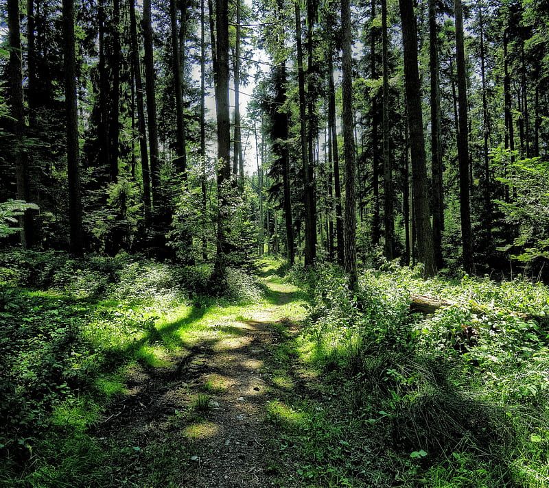 ����-������� �������� ������ � ���������� �������� �� ���������� ����� �� �������������� ���������������� ������������������