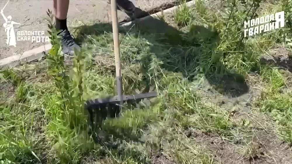 ���������. ��������� �������� ������� ������ ������ � ������������� ����� �������� ������������ ������� ��������� ����� � ������� ��������� �������� ����� � �������� �� ������ ���������� ������ ����������� ��������