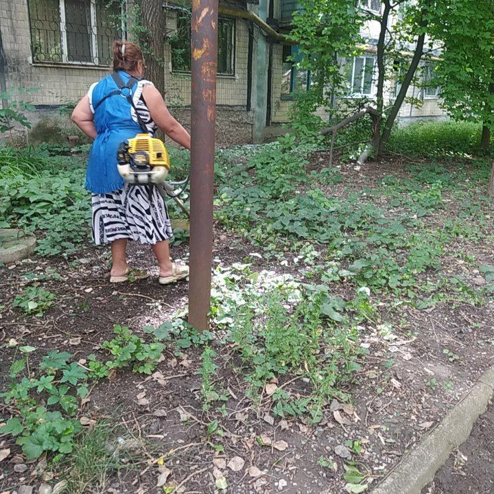 ������� ������: ������� ������������ �������������� ���������� ����������� ������������� ������ ������� "����������� �������� ������������ ������ �.�������" ������������ ����� ����� �� ���������� ���������� ���������������� ������ �����