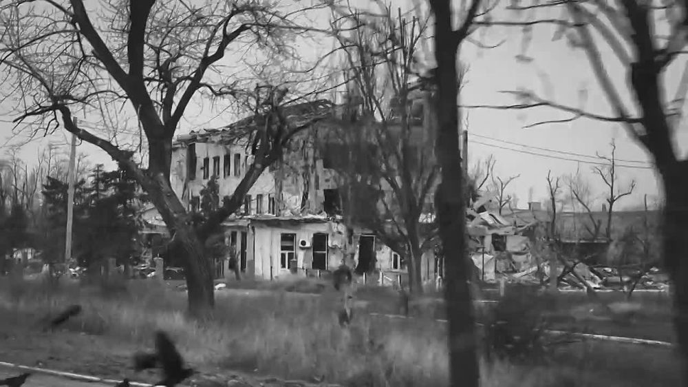 SHAMAN � ��� ��� (������ � �����: SHAMAN)