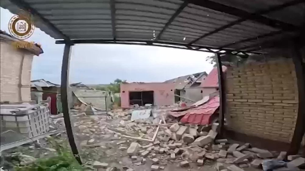 Z� �������! ���������� ����