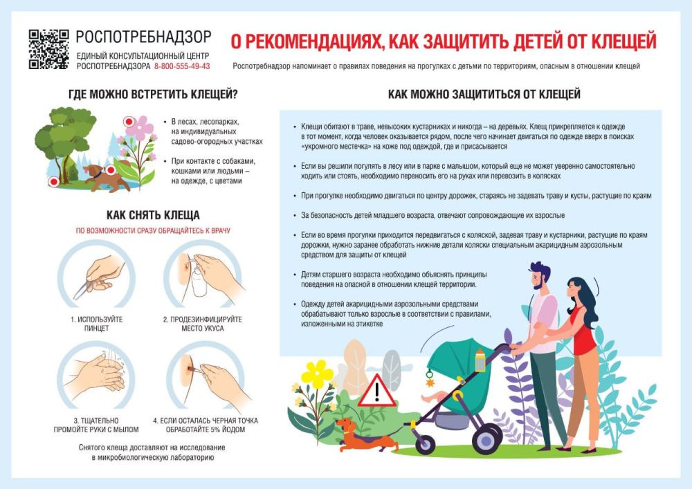 ������� �������: ������������, ��� �������� ����� �� �����