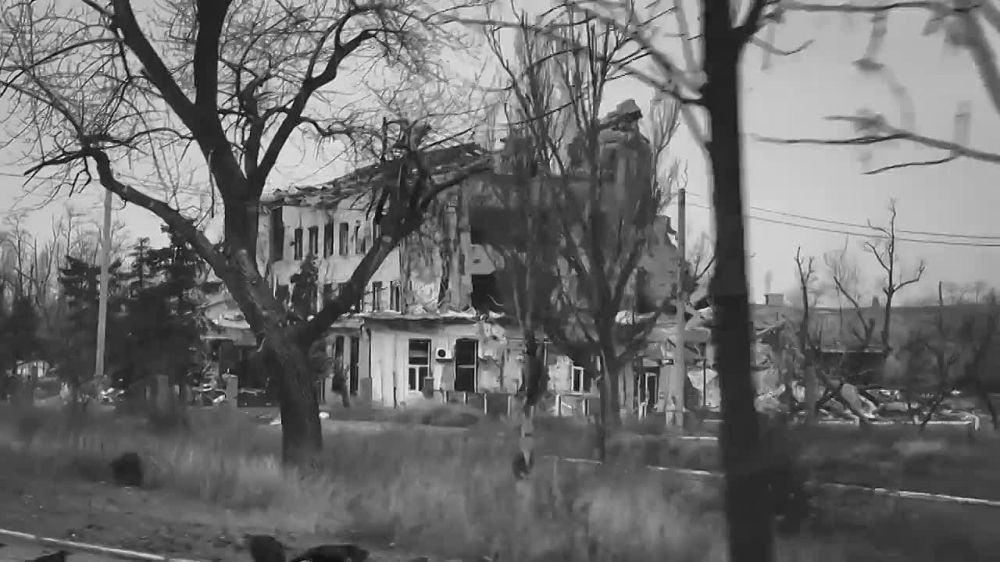 ���������� ����� SHAMAN �������� ������������ ����� ��� ���, ������� � ����������!